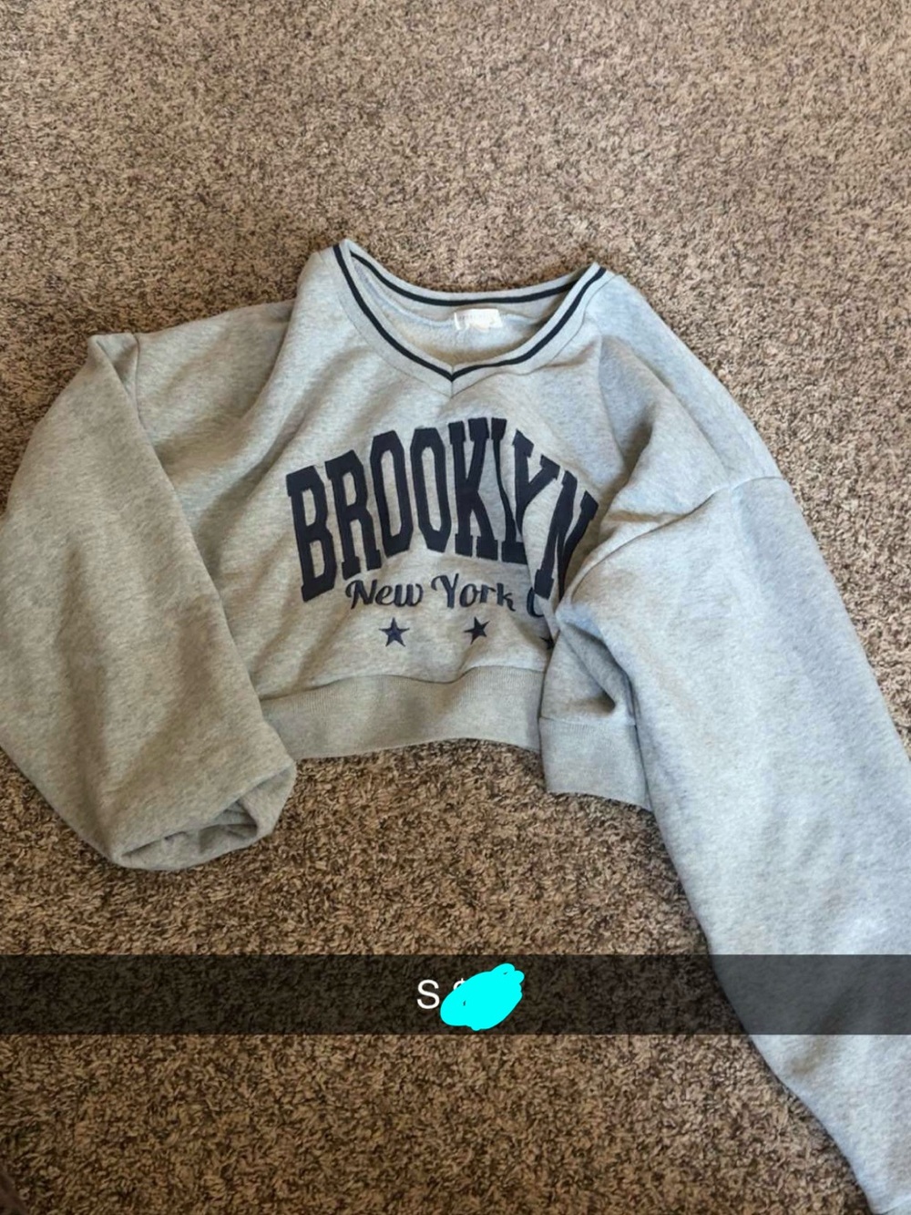 Brooklyn Cropped Crewneck Sweatshirt - Gray